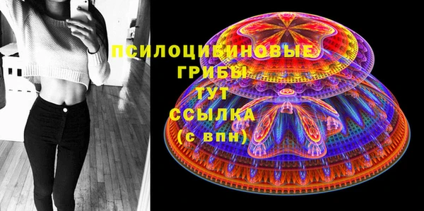 ГАЛЛЮЦИНОГЕННЫЕ ГРИБЫ Алексин