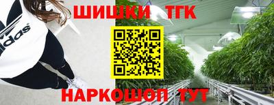 дживик Тара