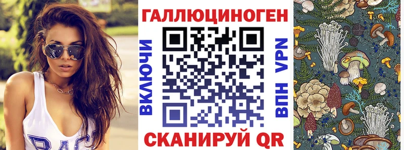 Галлюциногенные грибы мицелий  гидра tor  Тверь  наркотики 