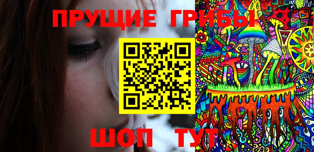 Галлюциногенные грибы MAGIC MUSHROOMS Тверь